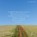 꽃이피는시간 이미지