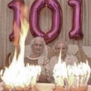 서울시야생동물센터 이미지