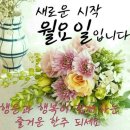 넉넉 이미지