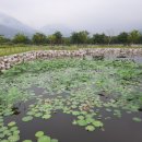 신장둔치 이미지