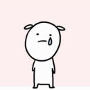 토들 Daum카페