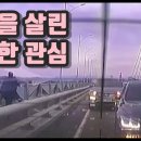 얼마전 다리 위에서 투신하려던 여성을 구한 광주 시민들 ㅜㅜ.gif 이미지