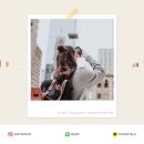 지니디자인 이미지