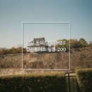 (주)더보플러스 | 코닥토이카메라 m35 컬러 플러스 필름200으로 찍은 일본여행 후기들 필카 추천과 잘찍는 법