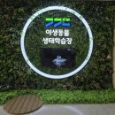 경기도야생동물구조관리센터 | 비둘기 구조 후기 2 : 경기북부야생동물구조센터 / 경기도야생동물생태보전학습