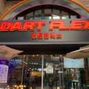 다트플렉스 이미지