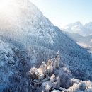 [공지사항] 2025년12월7일(주일) 이미지