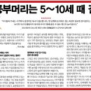 `공부머리가 5~10세에 결정’된다는, 근거도 없는 이미지