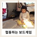 캠핑코리아 | 집에서도 캠핑에서도 즐거운 보드게임 아스모디코리아 DOUZANIMO 숨은 동물 찾기 후기