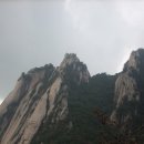 일오일 이미지