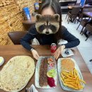 CH CLUB | [영국 교환일기] Ch. 5 Liverpool 리버풀 당일치기 여행!🚅/비틀즈 투어/영국 기차 여행 TIP