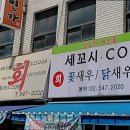 세꼬시닷컴
