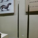 RR-618[황금뜰로]-하-5 | 서안 섬서역사박물관 대안탑 회족거리