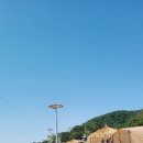 캠핑카로 떠나는 울산근교 경주양남관성솔밭해변/ 1박2일캠핑/노지캠핑장