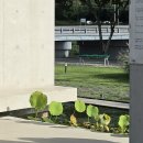 형기네 깐풍기 | 2025년 블로그 연말 결산 1탄