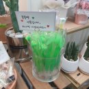 주니앤제이 이미지