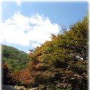 토지면 연곡사 입구 이미지