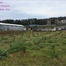 색달동-1 이미지