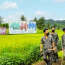 골몰농장 이미지