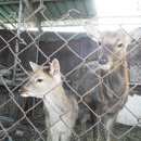 봇또랑낚시터 이미지