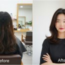 헤어베라 - 용인시 처인구 | 헤어베라