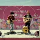 천일홍축제 이미지