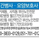 하단동217 이미지