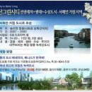 국제투자개발
