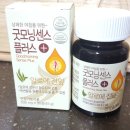 센스플러스