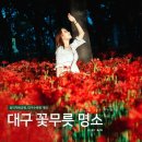 서대구완충녹지(7BL) | 꽃무릇 축제, 대구 중리체육공원과 대구수목원 가을꽃