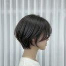 목감 | 시흥 목감 미용실 헤어라운드 숏컷 연습후기