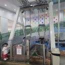 어메이징파크 티스토리