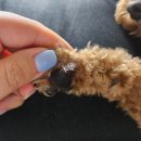 멍스라이프 이미지