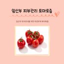 토마토피부관리 | 내돈내산 임산부 피부관리 방법, 무첨가 토마토즙 트러블 개선 후기