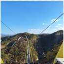 행정사사무소 고려 이미지