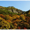서부탑주유소 이미지