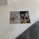 와인 인더 하우스 이미지
