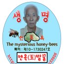 한정로2 이미지