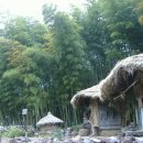 푸름다음 이미지