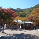 금성산성 이미지