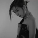 나인앤지니 Daum카페