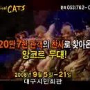 [공지] 캐츠 오리지널 대구공연 08년 9월 5일(금) ~ 21일(일) / 카페회원 10%할인 이미지