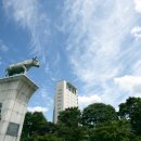 생활글쓰기(2기) 이미지