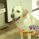 호야농장 이미지