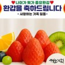 스위트로사