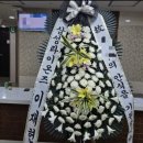 이재현 주왕산 실족사 한 어린이에게 화환 보냈었네 이미지