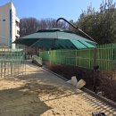 향동숲내초등학교 이미지