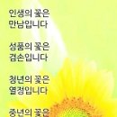 보통의 존재 이미지