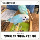 하서로483번길L | [리프패럿| 양산점] 아이들이 행복한 앵무새 카페 리프패럿 내돈내산