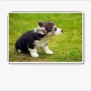 봉선 본약국 이미지